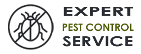 Expert Exterminator Co Hollywood FL